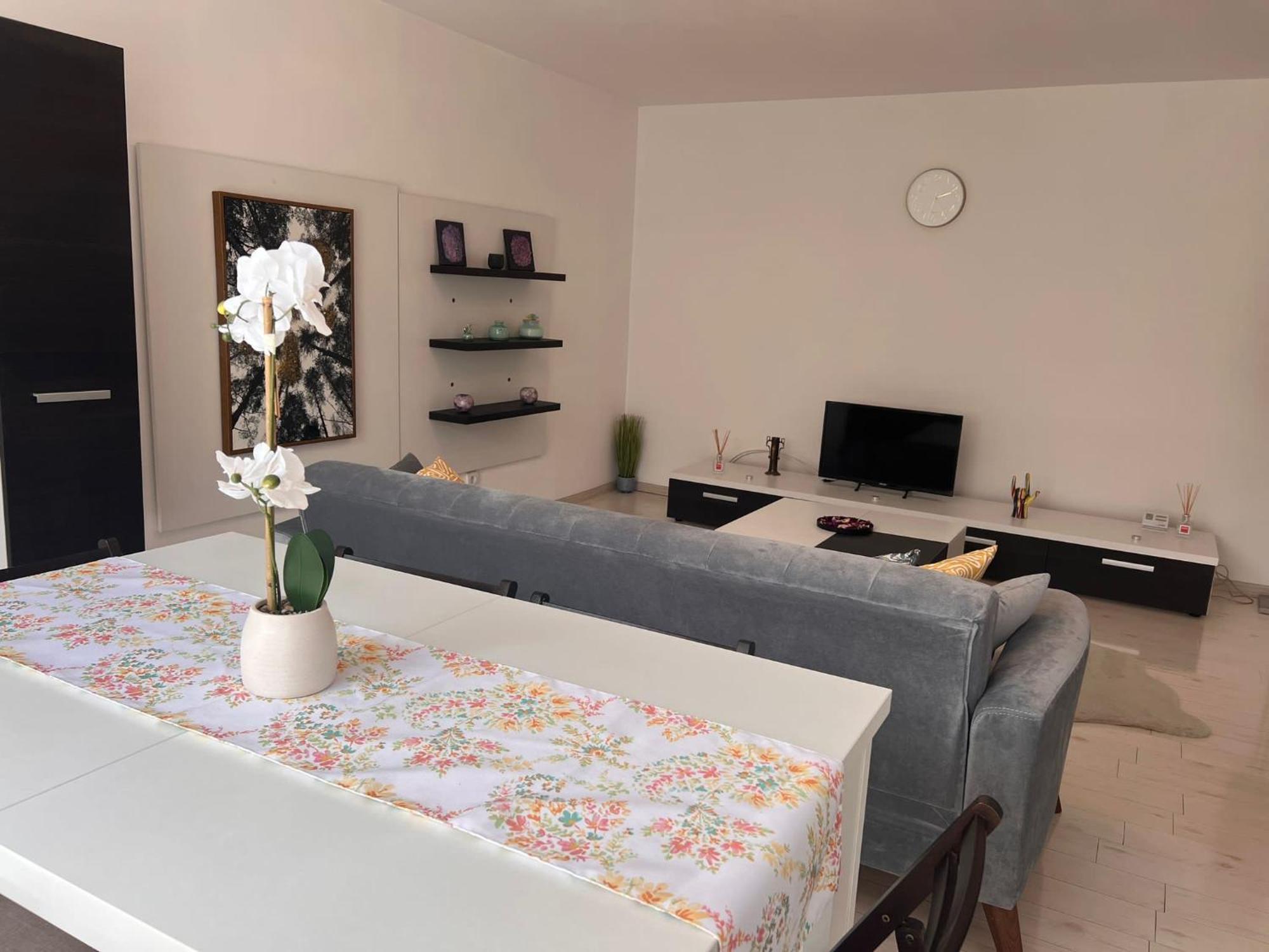 Cluj Aparthotel - Septimiu Albini - 外观 照片